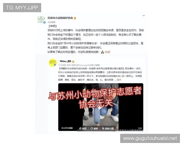 《Aiarakiri》:意裁协会公信力拷问 《Aiarakiri》:意裁协会公信力拷问